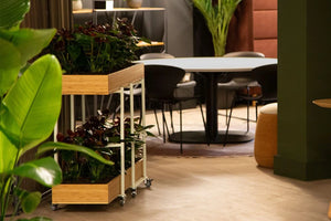 Bamboo Eco Friendly Planters 9