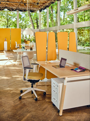 Evo Task Chair with Bench Desk and Freestanding Screens in Modern Office Setting