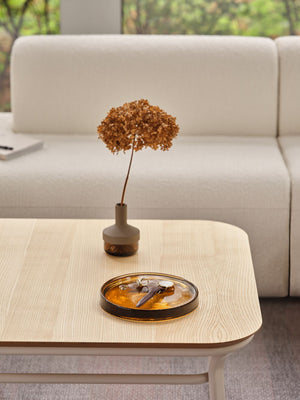 Grace Coffee Table with Sofa in Living Room Setting
