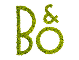 Logo Pictogram Acoustic Moss Logo