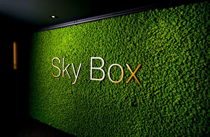 Moss Acoustic Wall Panel in Green Finish in Lounge Setting