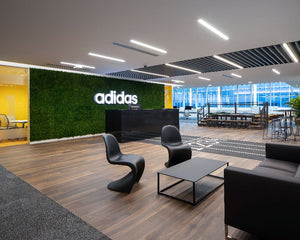 Moss Acoustic Wall Panel in Green Finish with Reception Desk and Sofa in Reception Setting