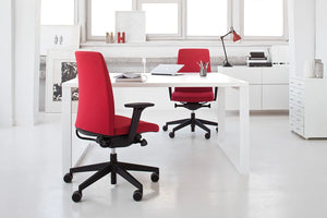 Motto Swivel Armchair Model 10 10