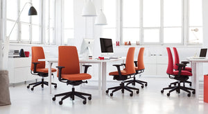 Motto Swivel Armchair Model 10 6