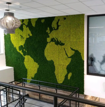Acoustic Celing Lighting in Meeting Room