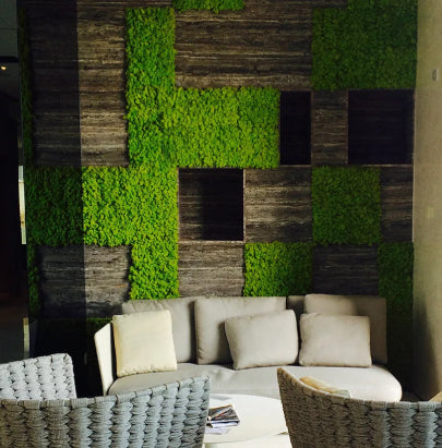 Acoustic Celing Lighting in Meeting Room
