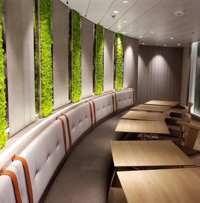 Acoustic Celing Lighting in Meeting Room
