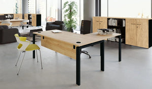 Astro Desk for in Oak Top Finish with Bookcase and Sofa in Office Settings