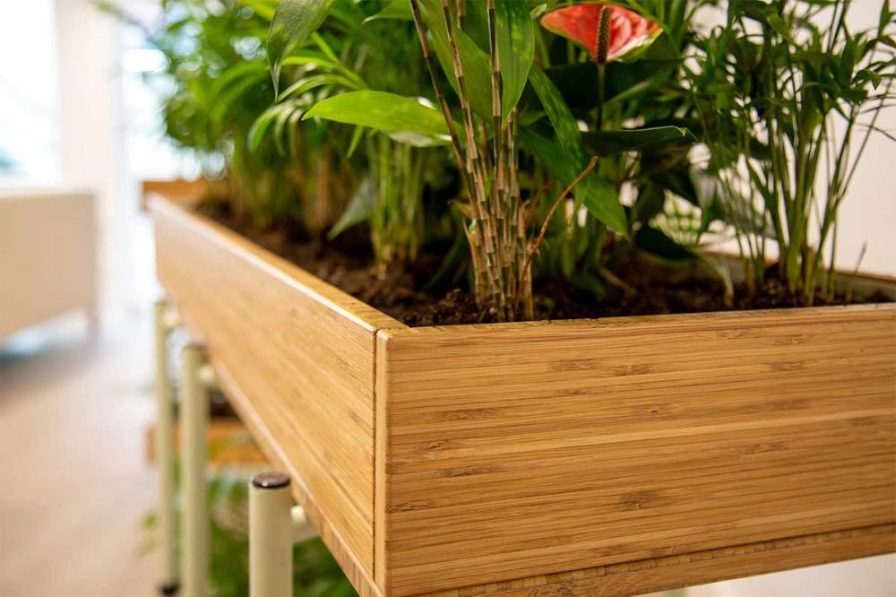 Bamboo Eco Friendly Planters 12