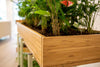 Bamboo Eco Friendly Planters 12