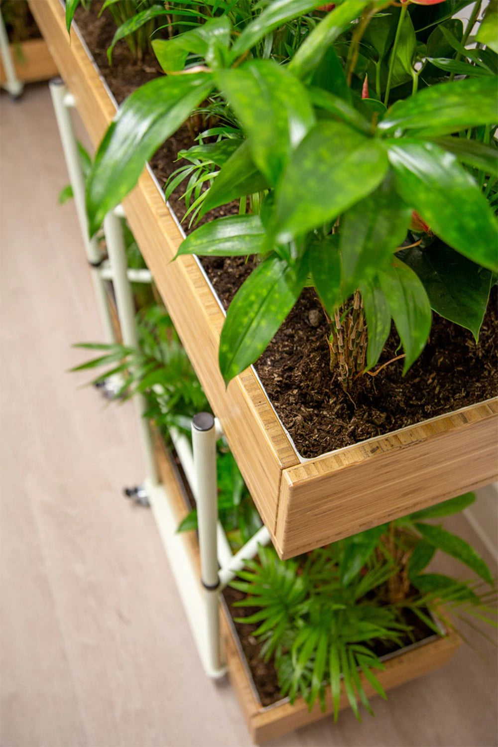 Bamboo Eco Friendly Planters 15