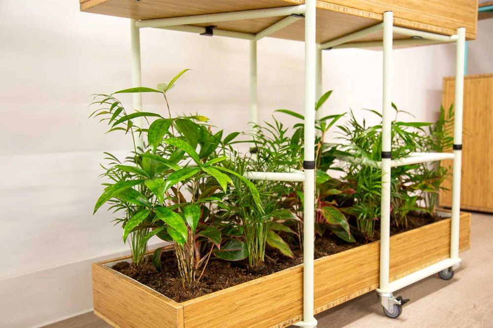Bamboo Eco Friendly Planters 5