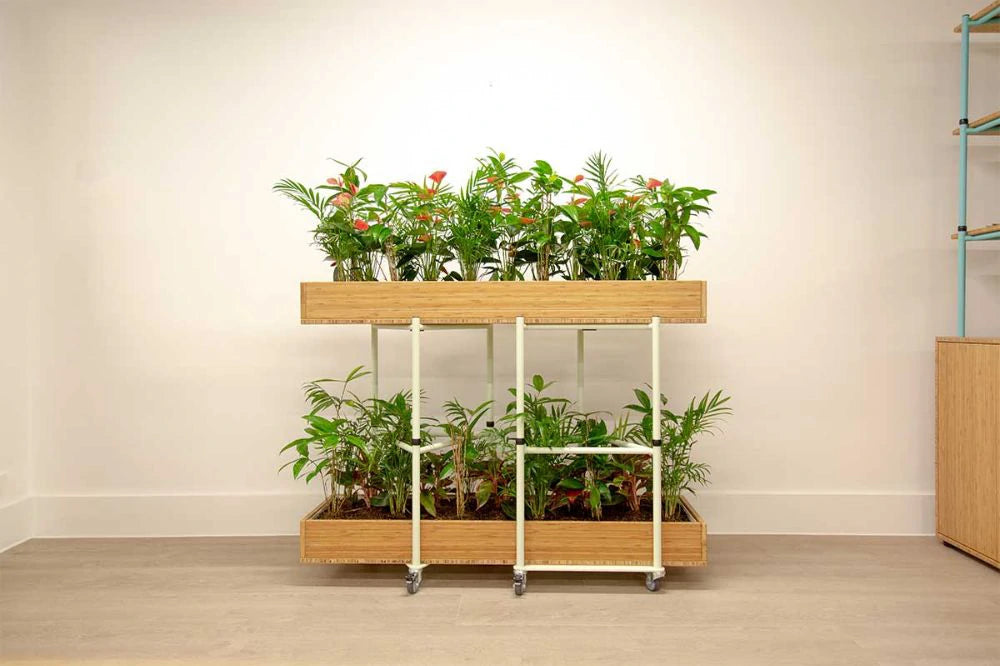 Bamboo Eco Friendly Planters 6