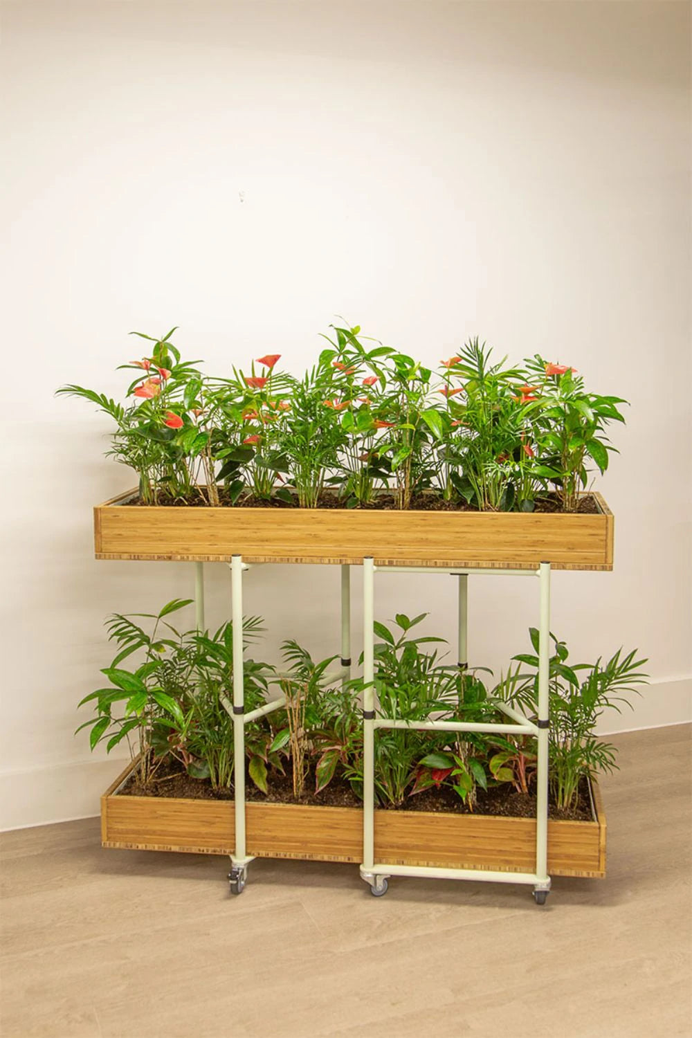 Bamboo Eco Friendly Planters 8