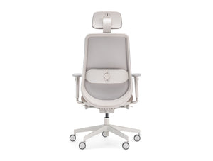 Belt Ergonomic Office Chair 3