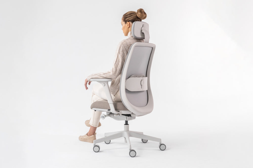 Belt Ergonomic Office Chair Detail
