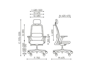 Belt Ergonomic Office Chair Dimensions
