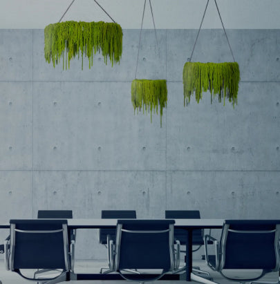 Acoustic Celing Lighting in Meeting Room