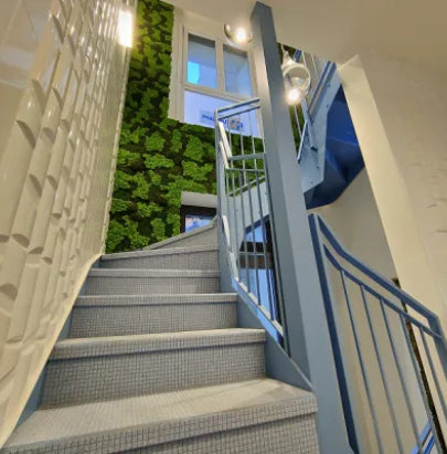 Acoustic Celing Lighting in Meeting Room