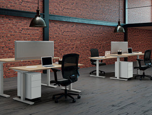 Buronomic Envol Evo Electric Sit Stand Desk 6 With Wood Finish Top And Metal Legs In An Office Setting