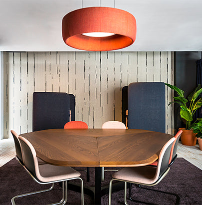 Acoustic Celing Lighting in Meeting Room