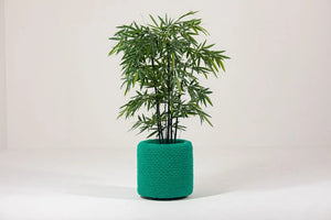 BuzziKnit Office Planter in Green Finish with Plants