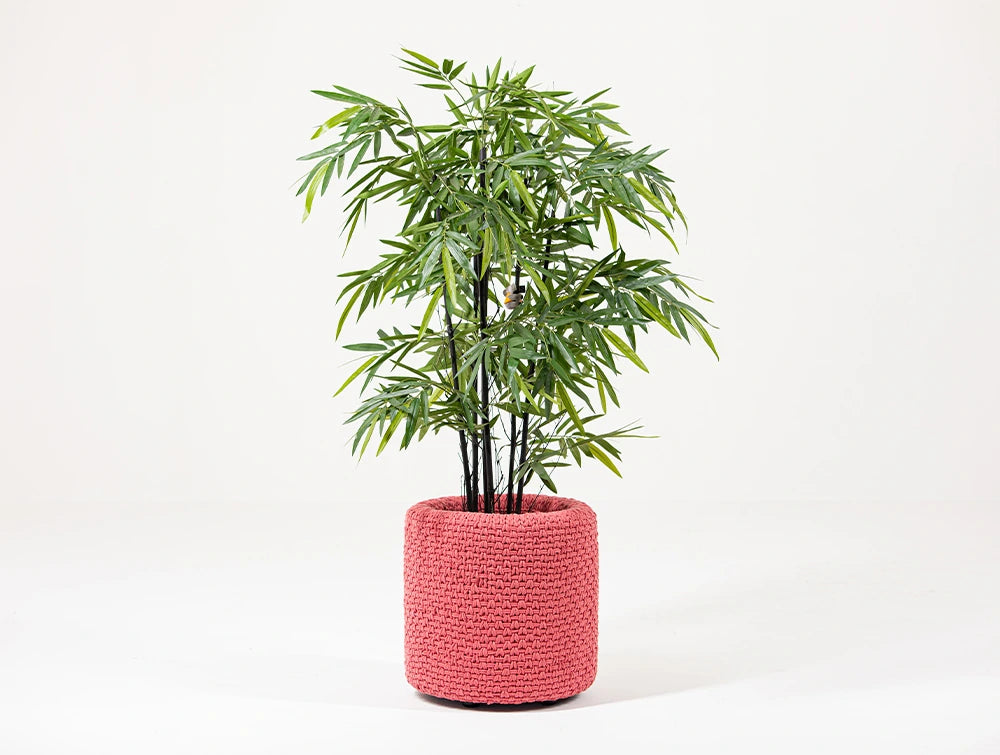 BuzziKnit Office Planter