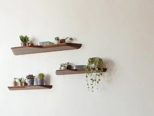 Buzziplank Shelf 9