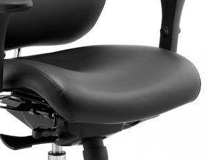 Chiro Plus Ultimate High Back Ergonomic Posture Chair With Arms And Headrest PO000013 8