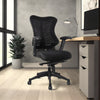 Delux Spine Ergonomic Mesh Chair with Pedestal and Indoor Plant in Modern Office Setting