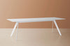 Dignis Table in White Finish