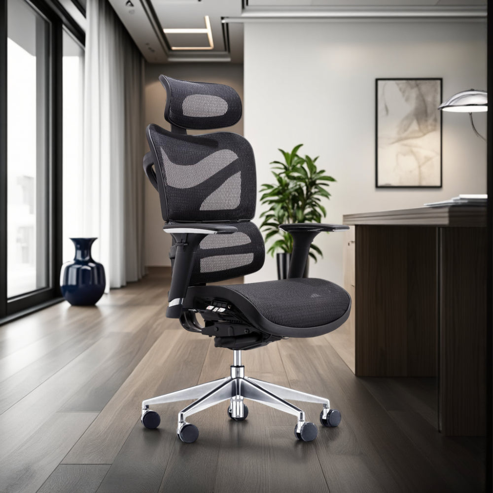 Dorsum Ergonomic Full Mesh Chair with Executive Table and Indoor Plant in Modern Office Setting