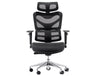 Dorsum Executive Ergonomic High Back Mesh Office Chair With Large Headrest