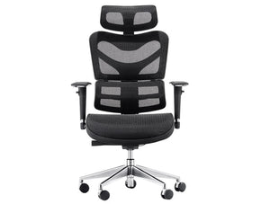 Dorsum Executive Ergonomic High Back Mesh Office Chair With Large Headrest
