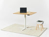 Efloat One Home Office Sit Stand Desk With Rug And Low Table