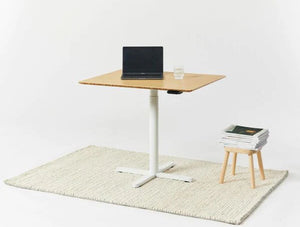 Efloat One Home Office Sit Stand Desk With Rug And Low Table