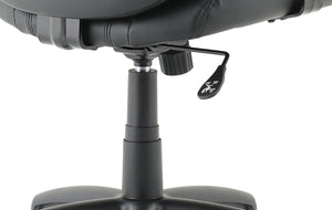 Winsor Black Leather Chair With Headrest Image 13