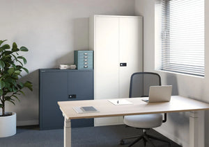 Economy Stationary Cupboards in Office Setting 2