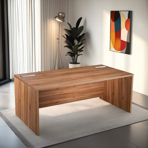 Elite Wooden Executive Desk with Indoor Plant in Executive Setting