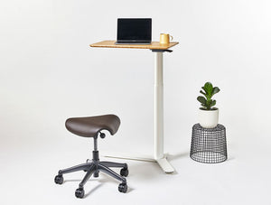 Float Mini Home Office Sit Stand Desk With Indoor Plant And Movement Chair