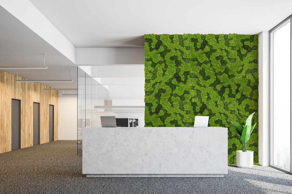 Gili Acoustic Moss and Nordic Lichen Frame in Green Finish with Reception Desk and Indoor Plant in Reception Setting