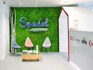 Green Mood Green Walls Ball Moss Spadel