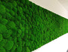 Green Mood Green Walls Ball Moss Wisag Wall Mounted