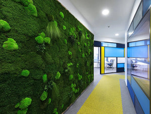 Green Mood Green Walls Forest In Nordic Food Office