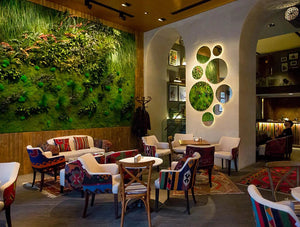 Green Mood Green Walls Forest In Passage Corner Seating Area