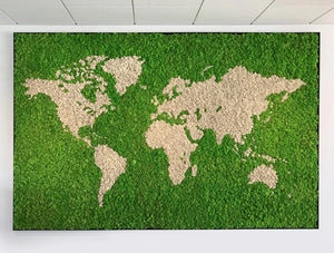 Green Mood Green Walls Lichen Moss World Map With Background