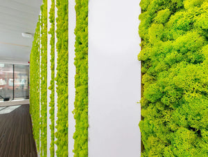 Green Mood Green Walls Lichen Moss In Sanoma Office Close View