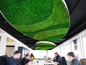 Green Mood Green Walls Lichen Moss In Visiyou Conference Room