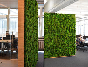 Green Mood Green Walls Provence Moss Smartwork Coworking Space