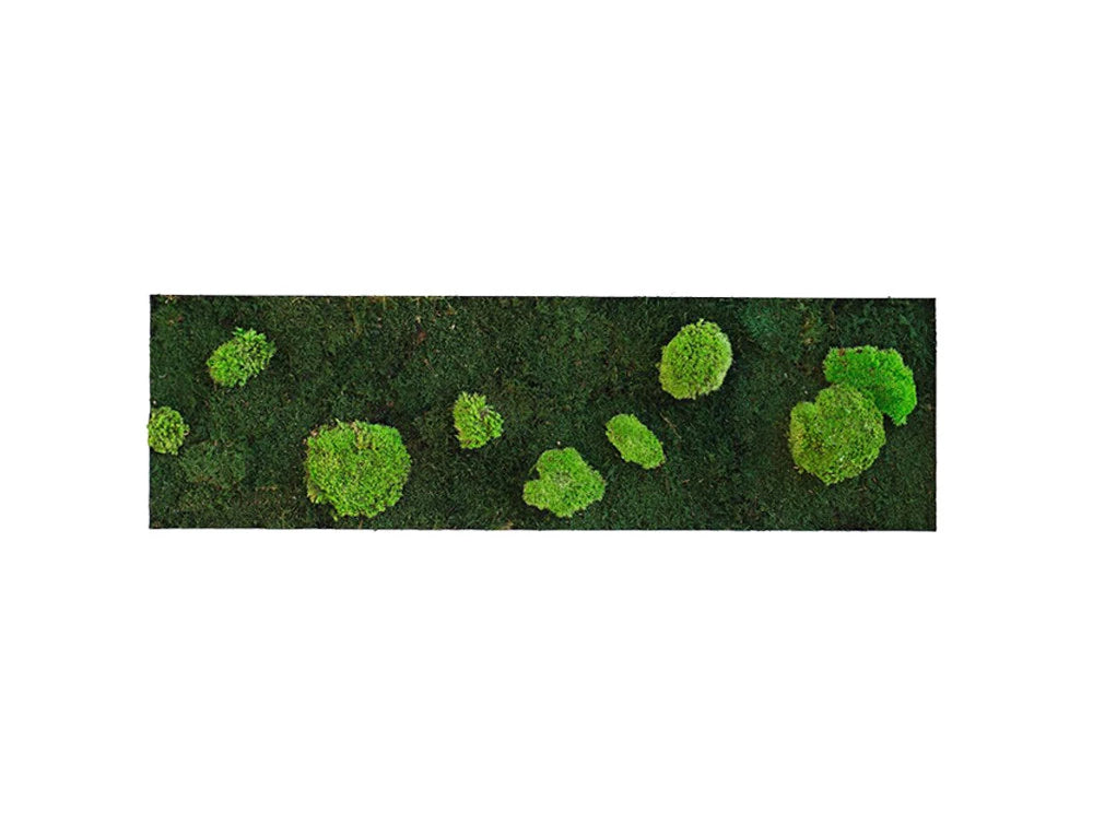 Green Mood Island Flat Ball Moss Frame 1150 X 350Mm